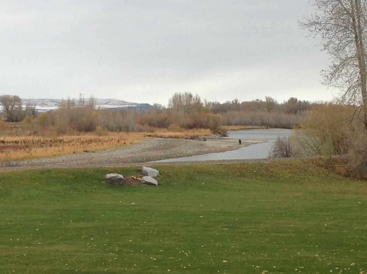 Blue Heron Inn Bed And Breakfast Rexburg Ruang foto