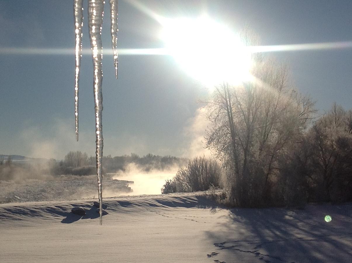 Blue Heron Inn Bed And Breakfast Rexburg Bagian luar foto