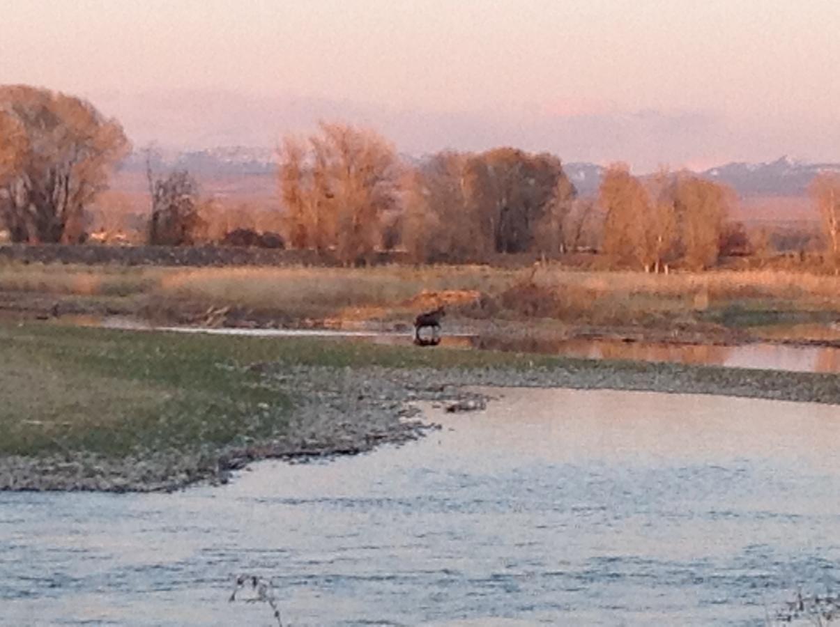 Blue Heron Inn Bed And Breakfast Rexburg Bagian luar foto
